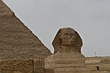 11 MAK_6704